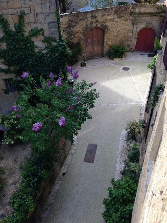 La Bonbonniere Apartment Sarlat-la-Caneda Ngoại thất bức ảnh